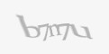 Защитный код